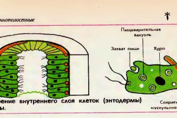 Кракен макет плейс