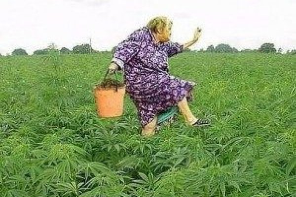 Ссылки на кракен блэкспрут