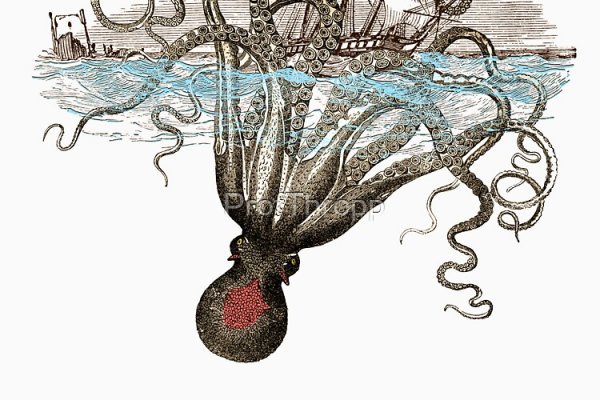 Kraken online