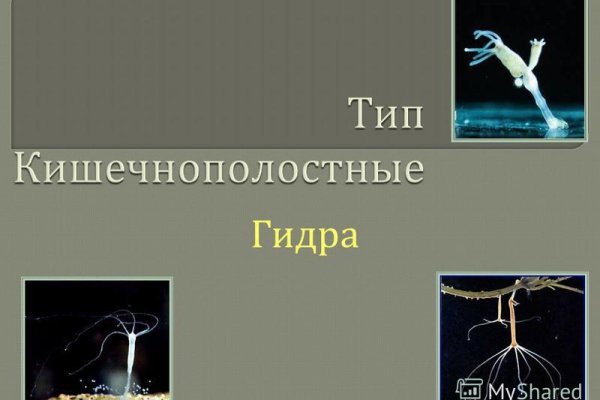 Кракен без тор