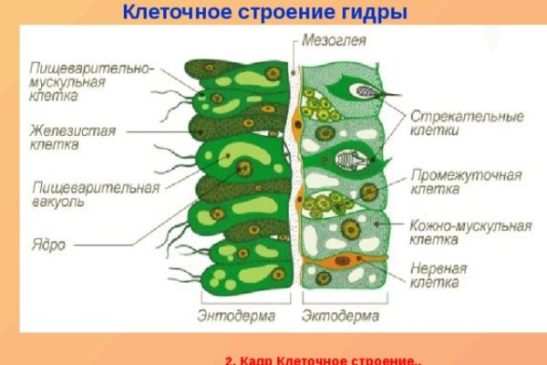 Кракен шоп нарк