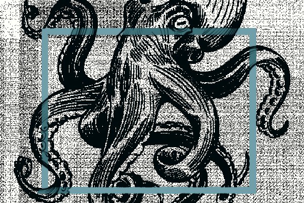 Сайт kraken darknet
