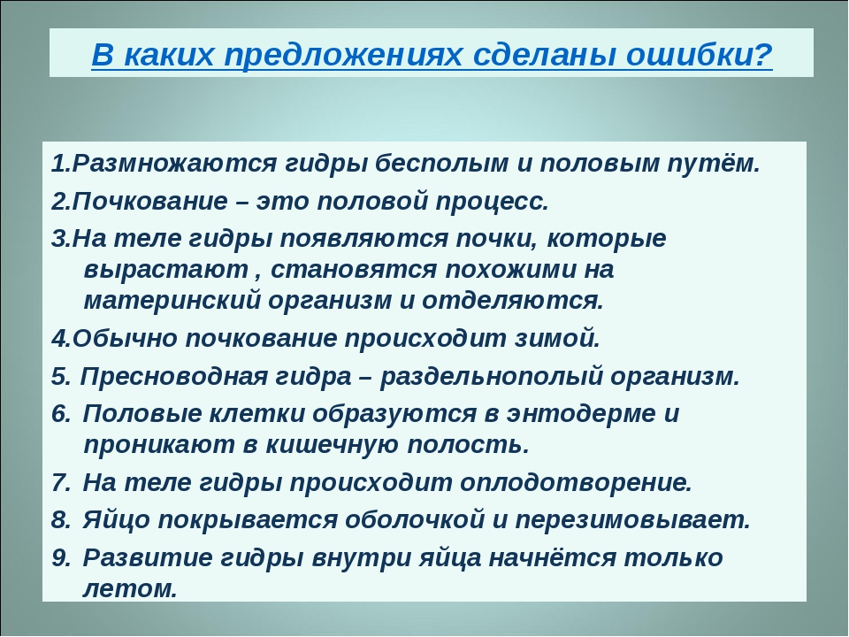 Kraken оригинальная ссылка